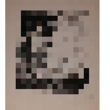 Exlibris Petera Stuckas Latvijas Valsts Universitate. (Житомирский, Львов)