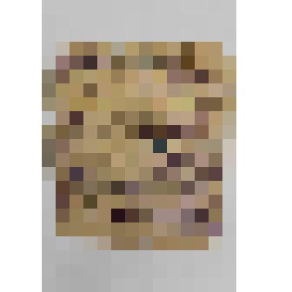 Листок нетрудоспособности (первичный) Зуймача Г.Э. Серия ОЛ № 193535