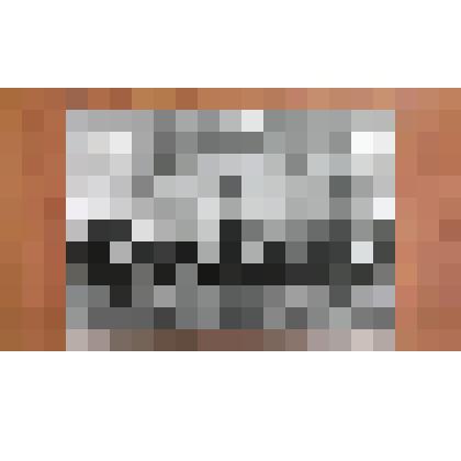 Фотография: делегаты Сибири на XXIV съезде КПСС. Среди присутствующих Парфенов Евгений Ерофеевич, 1-й секретарь Каменского горкома партии, Герой Советского Союза