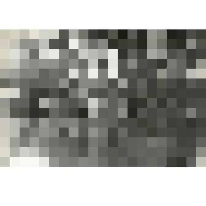 Фотография. Братская могила в с. Тургенево Чернского района