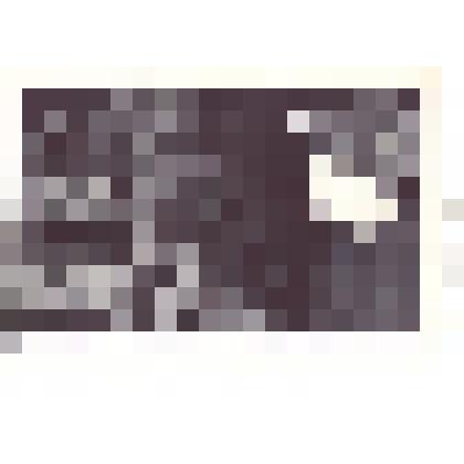 Фотография: Большухин Николай Иванович, контрольный мастер Каменского авторемзавода, ударник коммунистического труда, руководитель депутатской группы на заводе, член КПСС