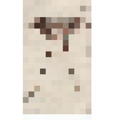 Гравюра. Phalaena Attac. Semiramis, Cram