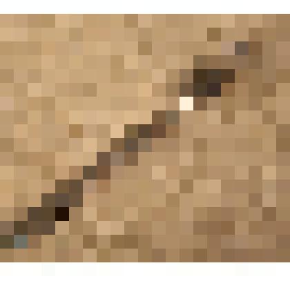 Вилка столовая, из коллекции предметов быта от сотрудников Саратовского областного музея краеведения