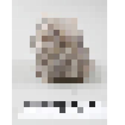 Минералы. Дымчатый кварц. Раухтопаз. Из комплекта: Коллекция минералов и горных пород