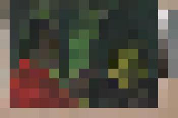 Это жизнь. д.Семчино