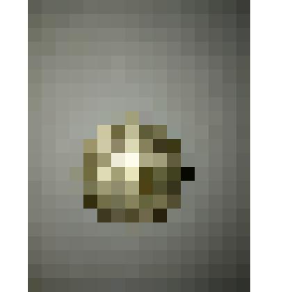 Монета 1 рубль образца 1988 года