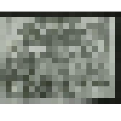 Фотопортрет групповой. Саржин С.И. среди группы партизан перед отъездом из Италии на Родину