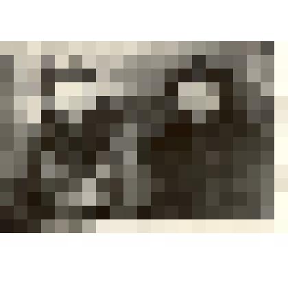 Фотография: Безруков Василий Иванович, член ВЛКСМ с 1921 г. и партизан Савкин Василий