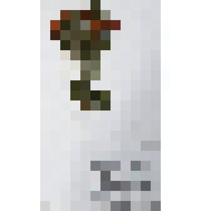 Гербарий
Ро́за дау́рская, или Шипо́вник даурский