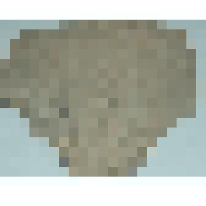 Черепок светло - серого цвета