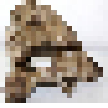 Кость (фрагмент) спинного отдела крупного животного