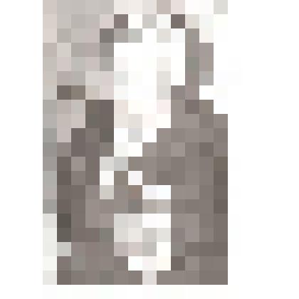 Фотография. Гусев Михаил Алексеевич – ветеран Великой Отечественной войны 1941-1945 гг