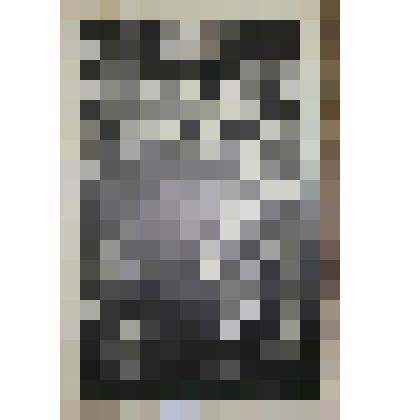 Картина. «На трассе»