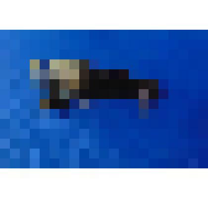 Пороховница