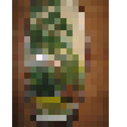 Весенний пейзаж. Картина на спиле дерева