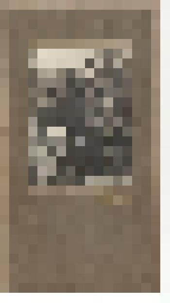 Фотография. Бучкин Иван (справа) с друзьями по службе. 21.05.1928