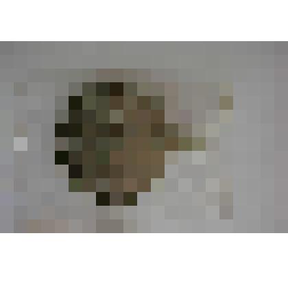 Медаль "В Память Отечественной войны"