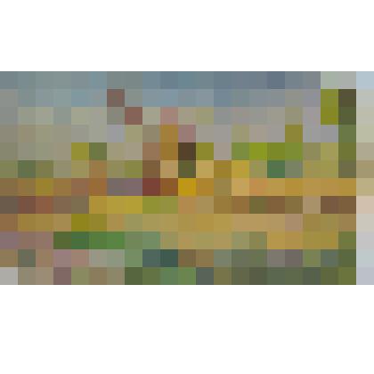 картина. «Под палящим солнцем»