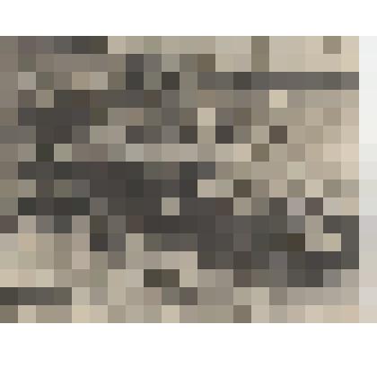 Фотография. Субботник у Тотемской восьмилетней школы