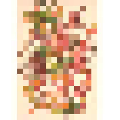 Иллюстрация. Таблица № 62. Выпуск "11-13".
 Из комплекта таблиц "Красота форм в природе"