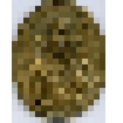 Медаль, отливка. В честь Симона Габриэля цур Неддена (ум. 1651). Германия;Мекленбург