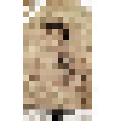 Ф/чб/к. Раушенбах Луиза Петровна, студентка гимназии. Москва. Фото Ю. Мебиус. ~ 1900