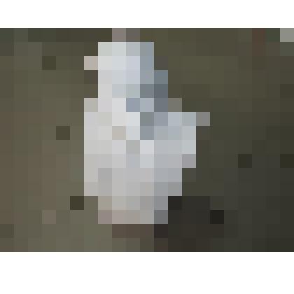 Бюст Ленина