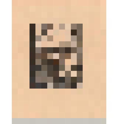 Старое русло Днепра