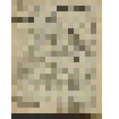 Газета. "Красный кавалерист" № 216