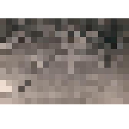 Фотография. Военно-спортивный праздник в Кавголово 36 ЗСД