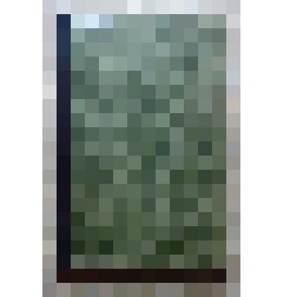 Журнал "Исторический вестник", июнь 1911 г