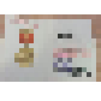 Удостоверение. Анискин Иван Васильевич награжден юбилейной медалью "За добросовестный труд. В ознаменование 100-летие со дня рождения В.И. Ленина