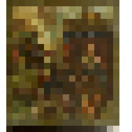 Рождество Богородицы. Икона