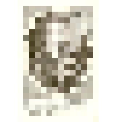 Гравюра «Портрет Дмитрия Самозванца»