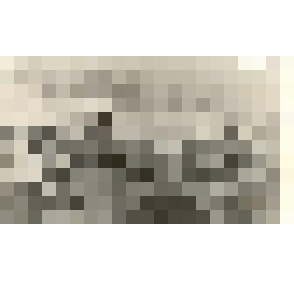 Фотография: коровник и денник дойного гурта в Павловском отделении совхоза "Октябрь" Каменского района Алтайского края. Бригадир отделения О.А.Косинова