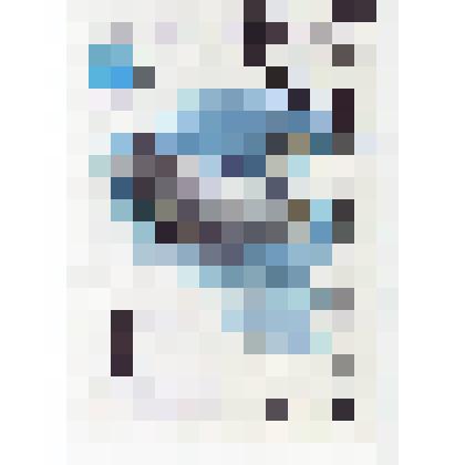 Марка почтовая. Почта СССР. Горный гусь