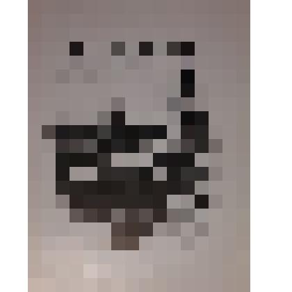 Exlibris Sp. Sietnieks