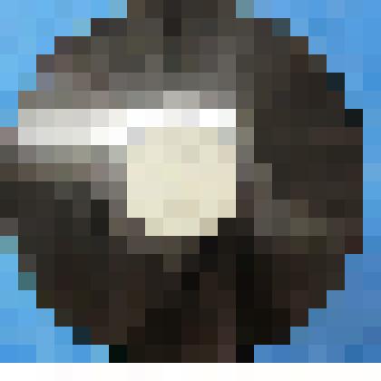 Грампластинка. Ночью белой. Черемуха