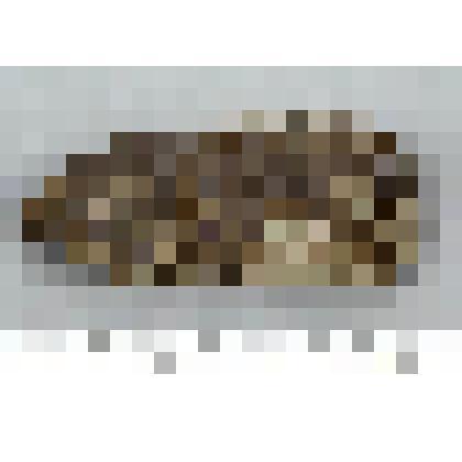 Заготовка рубящего орудия