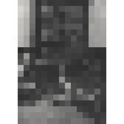 Фотография из набора, посвященного 200-летию со Дня рождения С.Т.Аксакова. Посудный шкаф со вставками из папье-маше