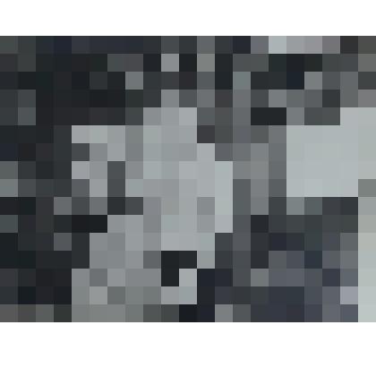 Фотография черно-белая с изображением Ф. Долженко и его супруги в молодости