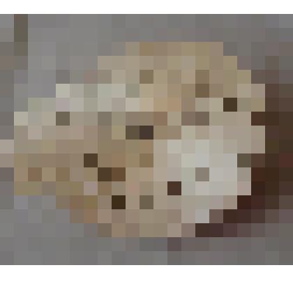 Сувенир "Птица - счастья"