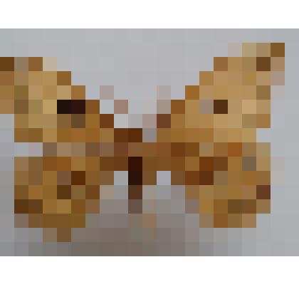 Бабочка. Павлиноглазка рыжая