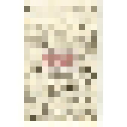 Письмо  И.   С.  Боголюбского  Н.  М. Мартьянову с поздравлением с Новым годом, уведомлением об отправке двух рублей    на    расходы    по музею,    о Нерчинском музее