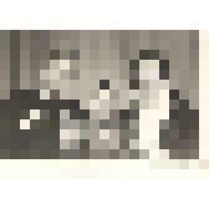 Фотографии. Фото. Шушеначев И.В. с женой Надиной Т.П. и внучкой Алиной