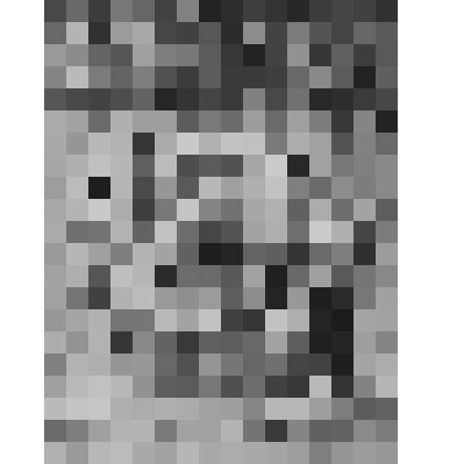 Садоводы.  Из серии «Молодые»