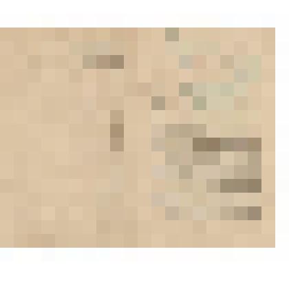 Документ. Книжка личная рядового Лапотышкина А.В