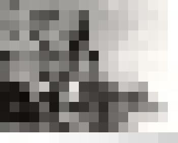 Фотокопия фотографии. Каинск. Католический костел. 1936г