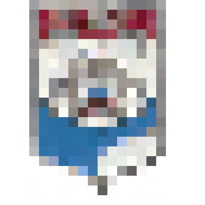 Значок "Омск (герб города 1974 г.)"