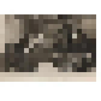 Фотография. Торжественное собрание посвященное 100-летию со дня рождения Ленина